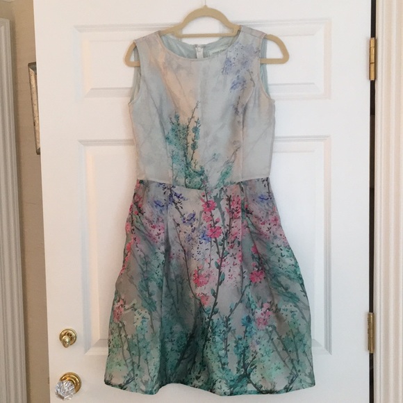Alease Fisher Dresses & Skirts - Floral Watercolor Organza Flounce Sleeveless Dress